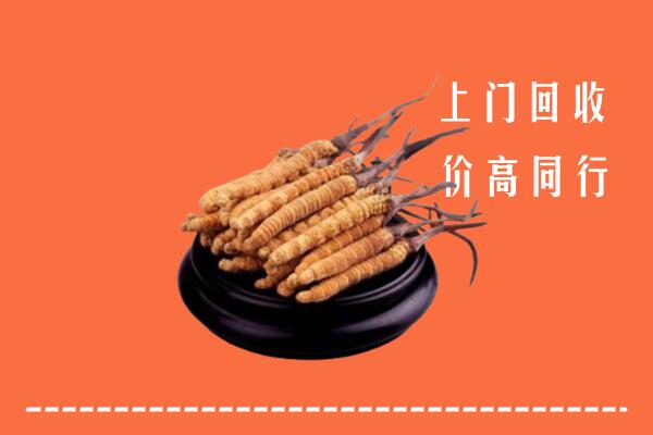 高价求购：清溪镇回收散虫草